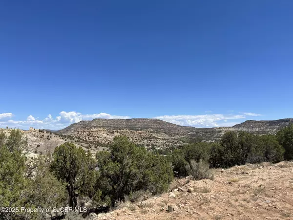 Aztec, NM 87410,129 ROAD 2390