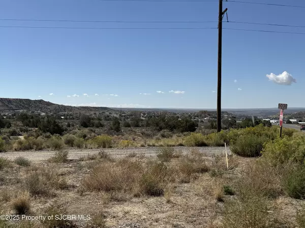 Flora Vista, NM 87415,TBD ROAD 3500