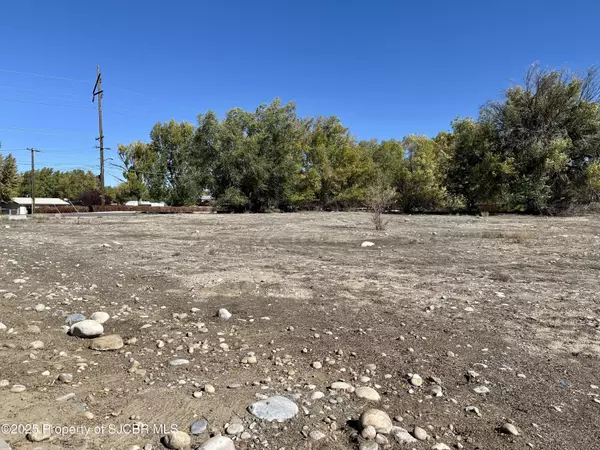 Farmington, NM 87401,XXXX SOUTHSIDE RIVER