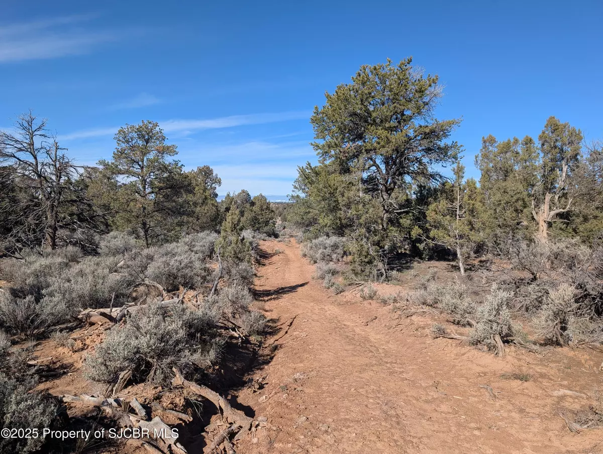 Middle Mesa, NM 81137,X ROAD 4020