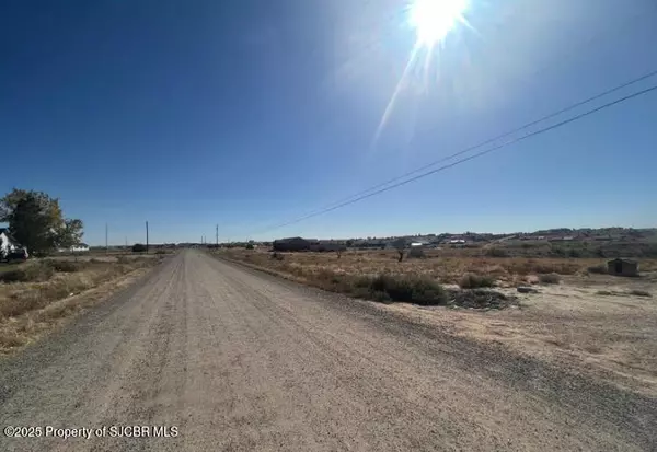 Farmington, NM 87401,LOT 163 ROAD 3782