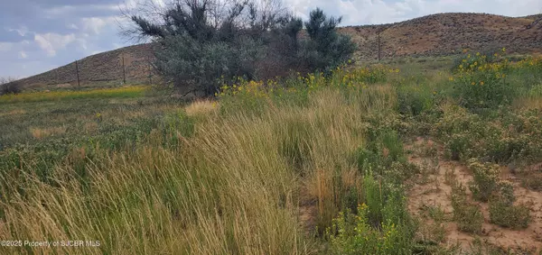 La Plata, NM 87418,L2 B7 ROAD 1413