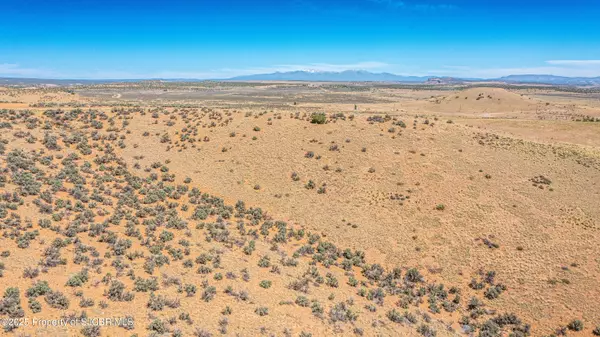 La Plata, NM 87418,1B-1 ROAD 1303
