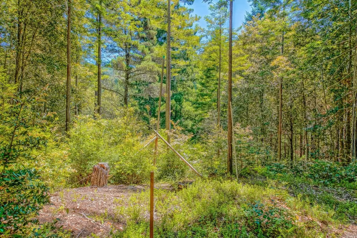 Jenner, CA 95450,22090 Lyons CT