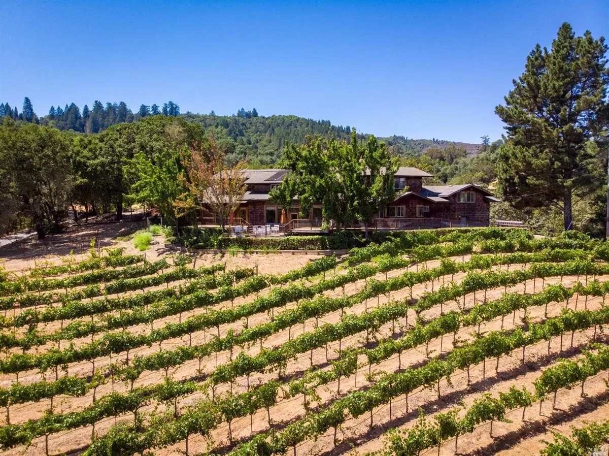 Healdsburg, CA 95448,6345 Mountain View Ranch RD
