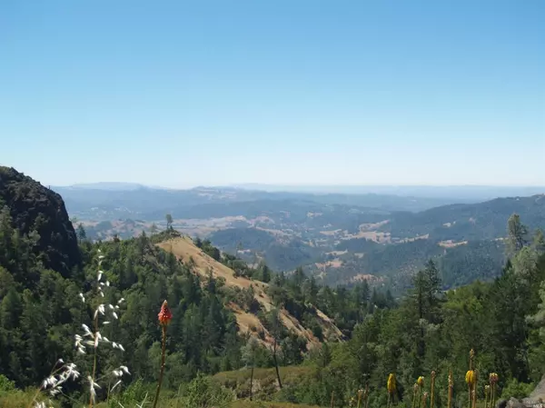 9745 Pine Flat RD, Healdsburg, CA 95448