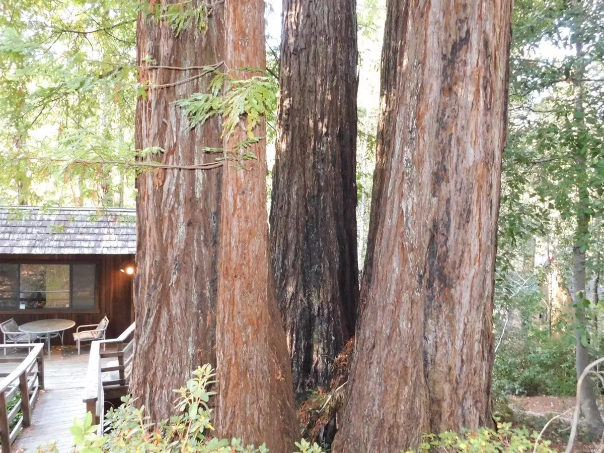 Guerneville, CA 95446,14030 Janice DR