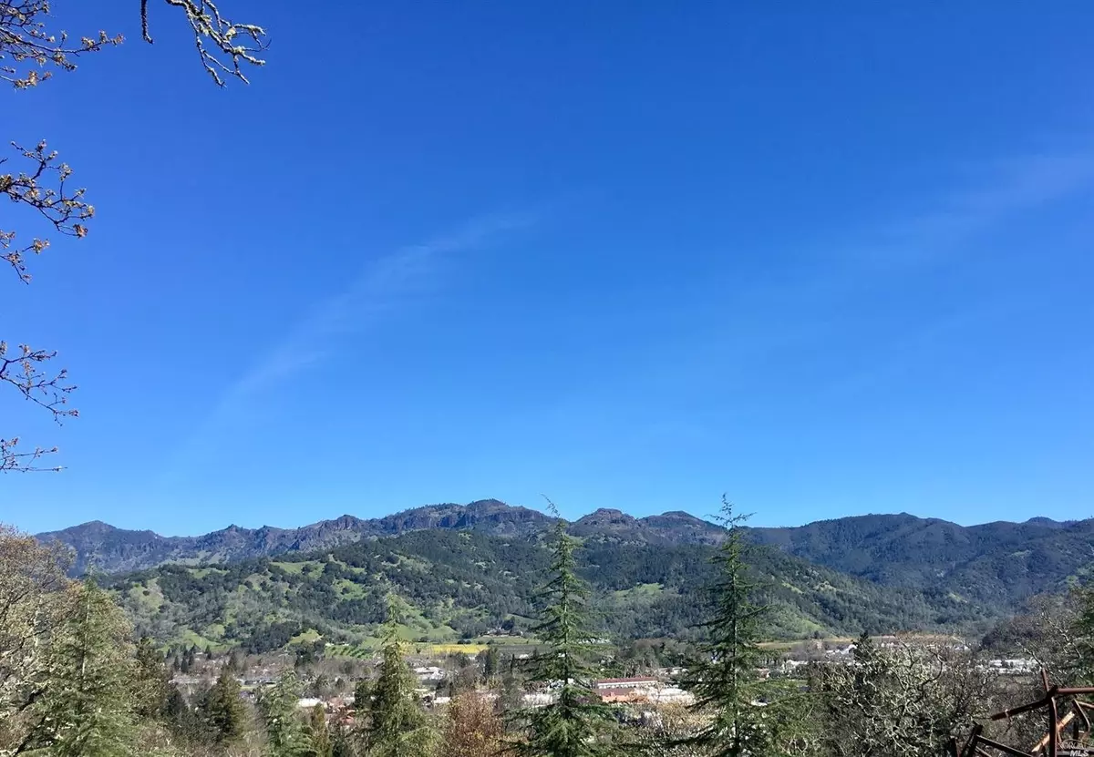 Calistoga, CA 94515,0 Kortum Canyon RD