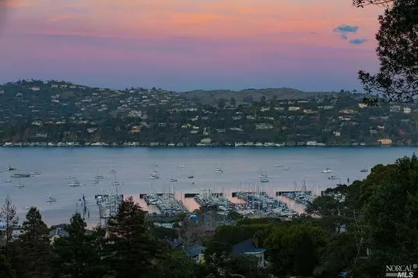 262 Santa Rosa AVE, Sausalito, CA 94965