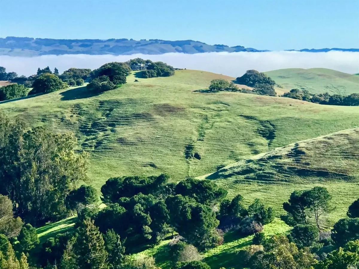 Petaluma, CA 94952,3180 I Extension ST