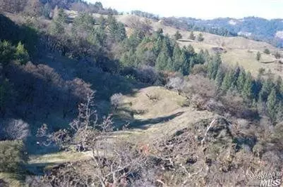 61681 Registered Guest RD, Laytonville, CA 95454