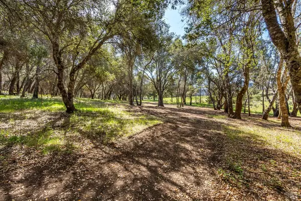 Calistoga, CA 94515,0 Franz Valley School RD