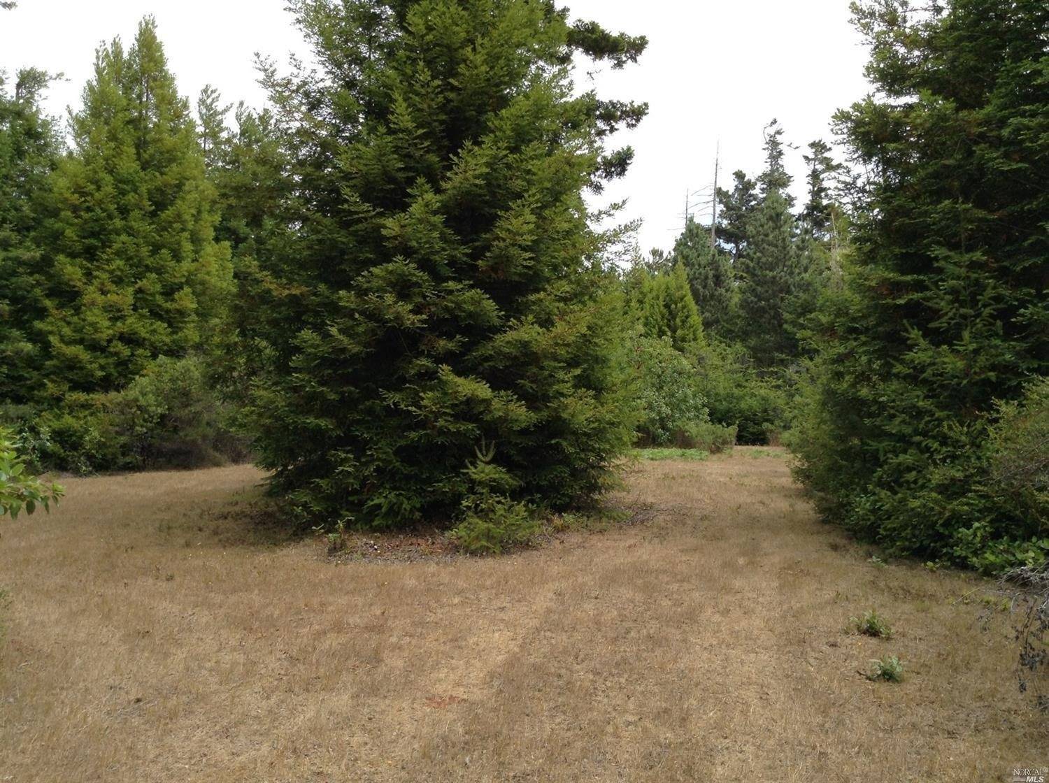 41600 Harris Ranch RD, Point Arena, CA 95468