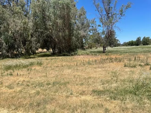 Rio Vista, CA 94571,18269 State Hwy 160