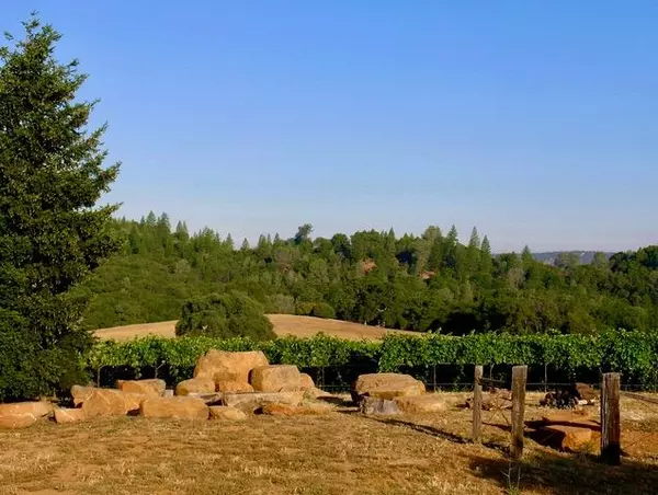 Plymouth, CA 95669,12551 Steiner Road