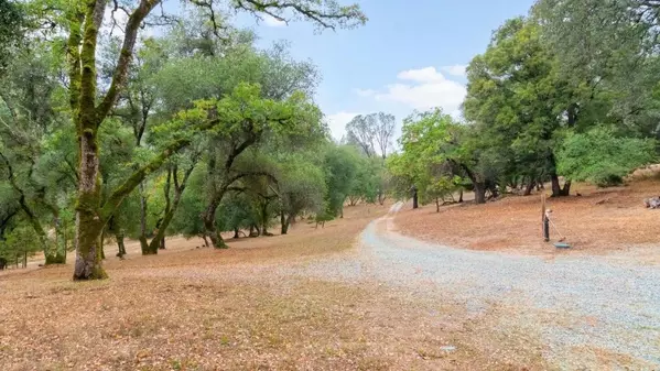 Placerville, CA 95667,2870 Sand Ridge RD
