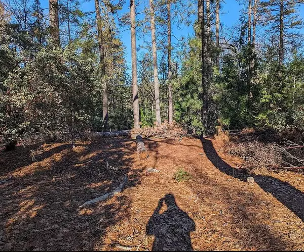 Foresthill, CA 95631,6414 Green Leaf LN