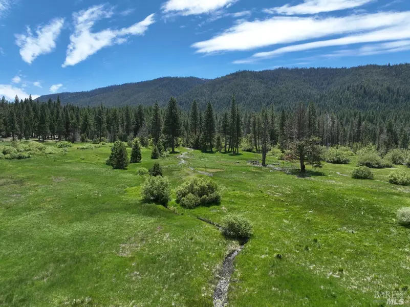 475 Old Hatchery RD, Clio, CA 96106