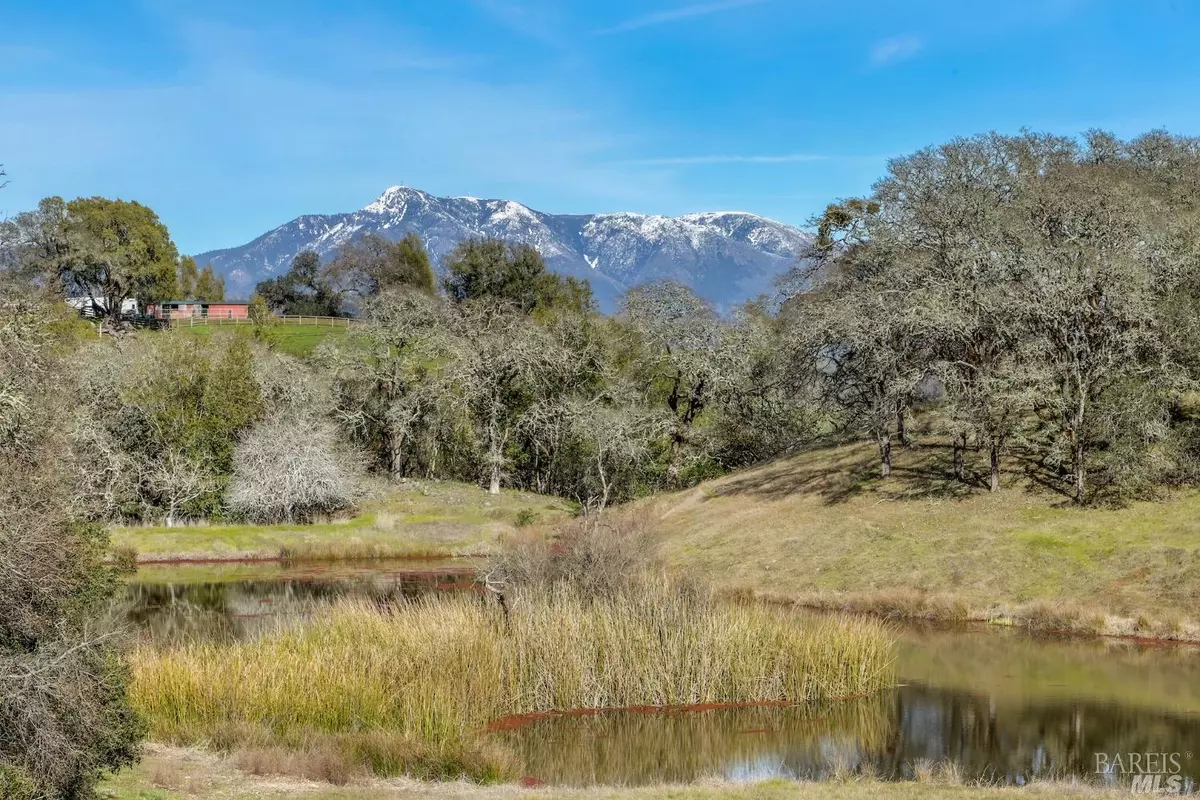 Healdsburg, CA 95448,12825 Chalk Hill RD