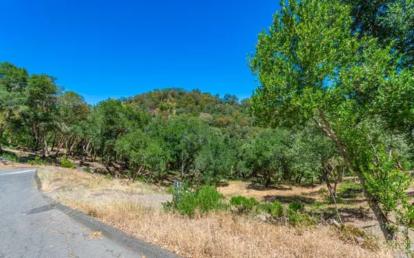 Napa, CA 94558,32 Catalpa CT