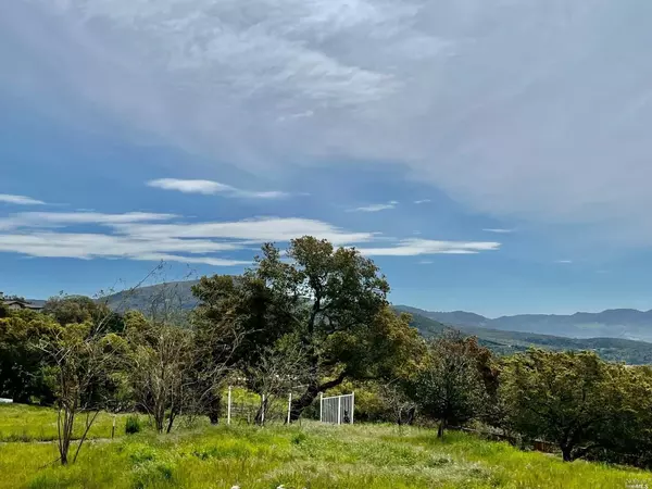 Napa, CA 94558,2375 Atlas Peak RD