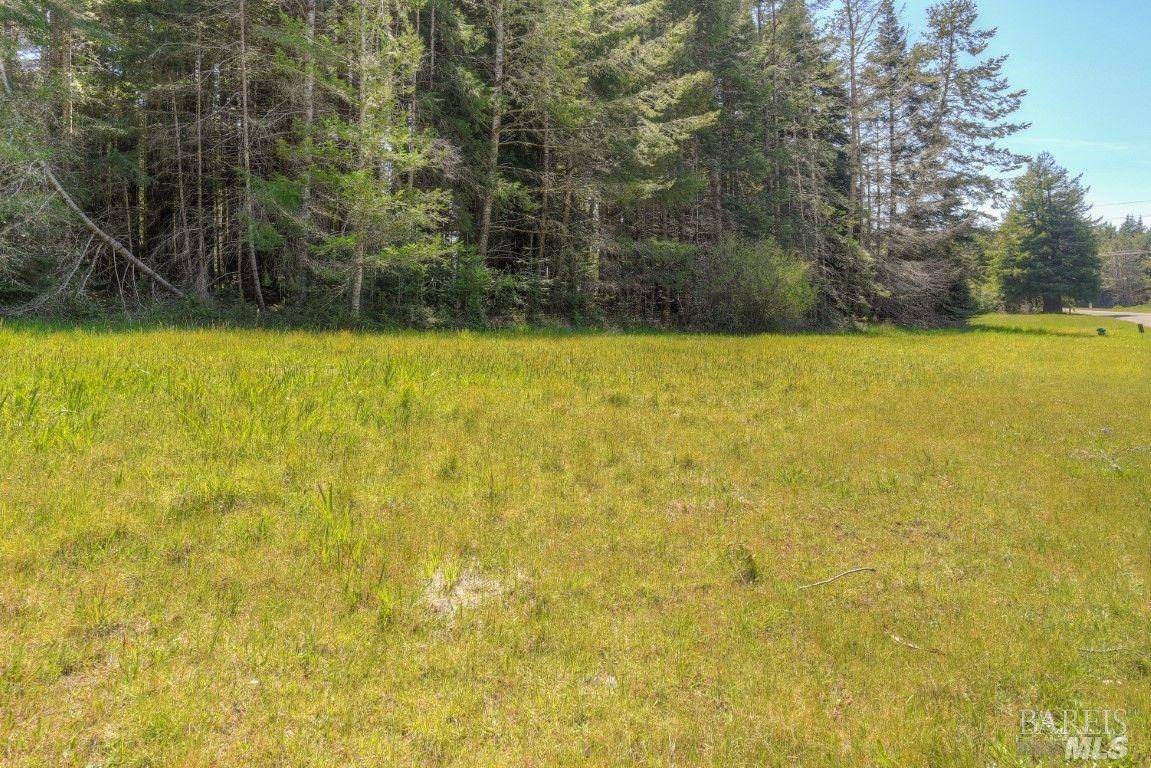 The Sea Ranch, CA 95497,42207 Deer TRL