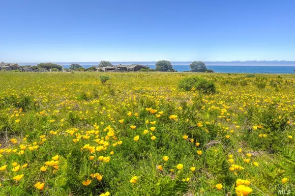 The Sea Ranch, CA 95497,149 Otter Close