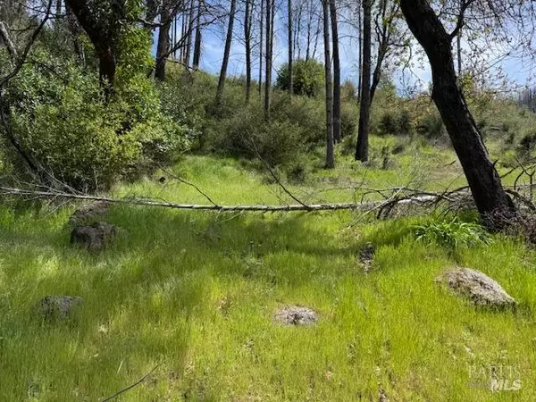 7905 St Helena RD, Santa Rosa, CA 95404
