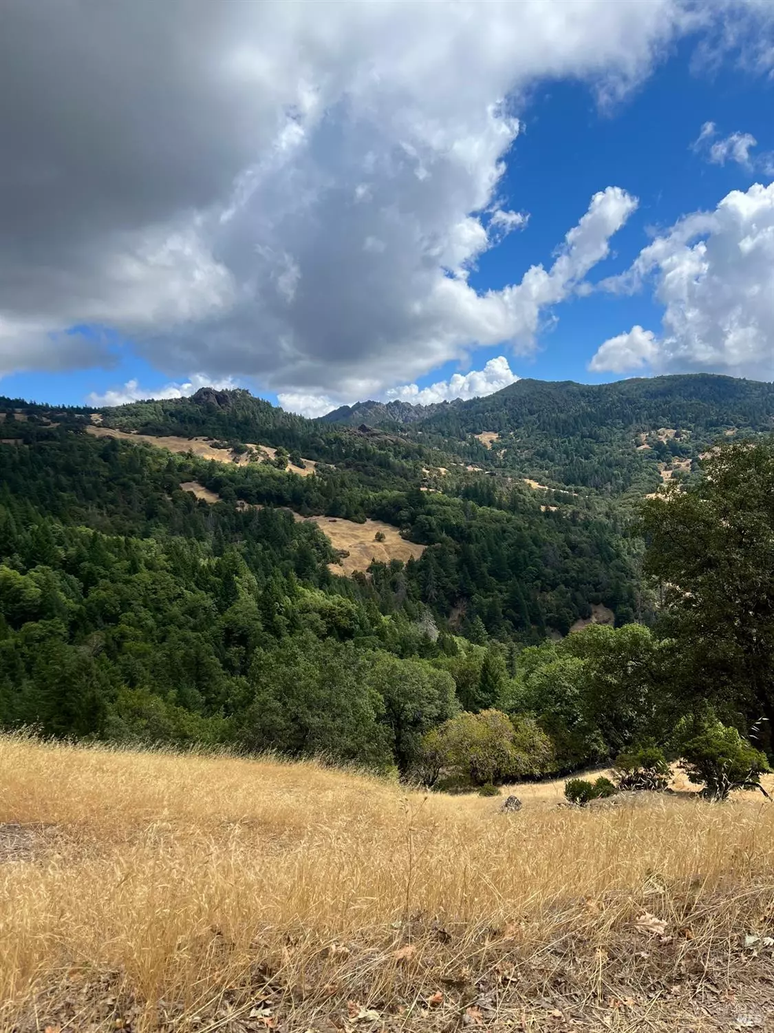 Laytonville, CA 95454,2631 Bunim RD