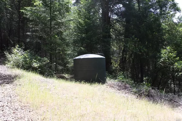 Covelo, CA 95428,0 Williams Creek RD