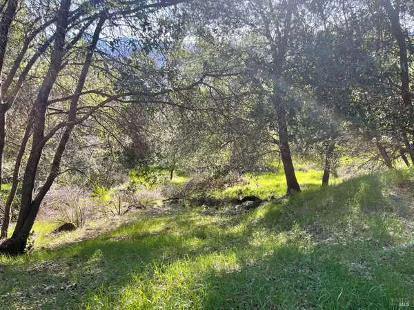 18580 Glenwood RD, Hidden Valley Lake, CA 95467