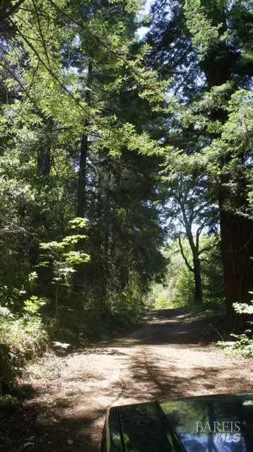 Healdsburg, CA 95448,2100 Big Ridge RD