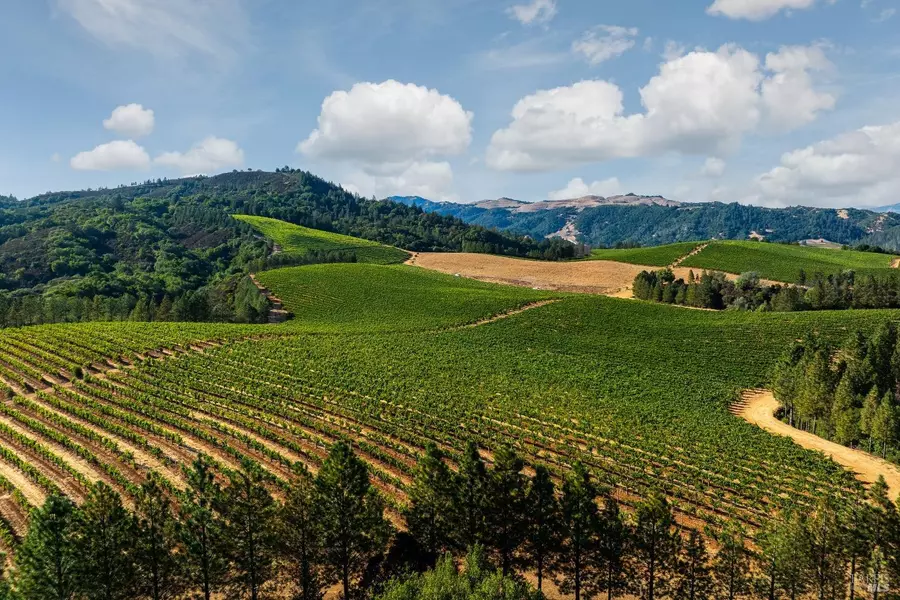 9965 W Dry Creek RD, Healdsburg, CA 95448