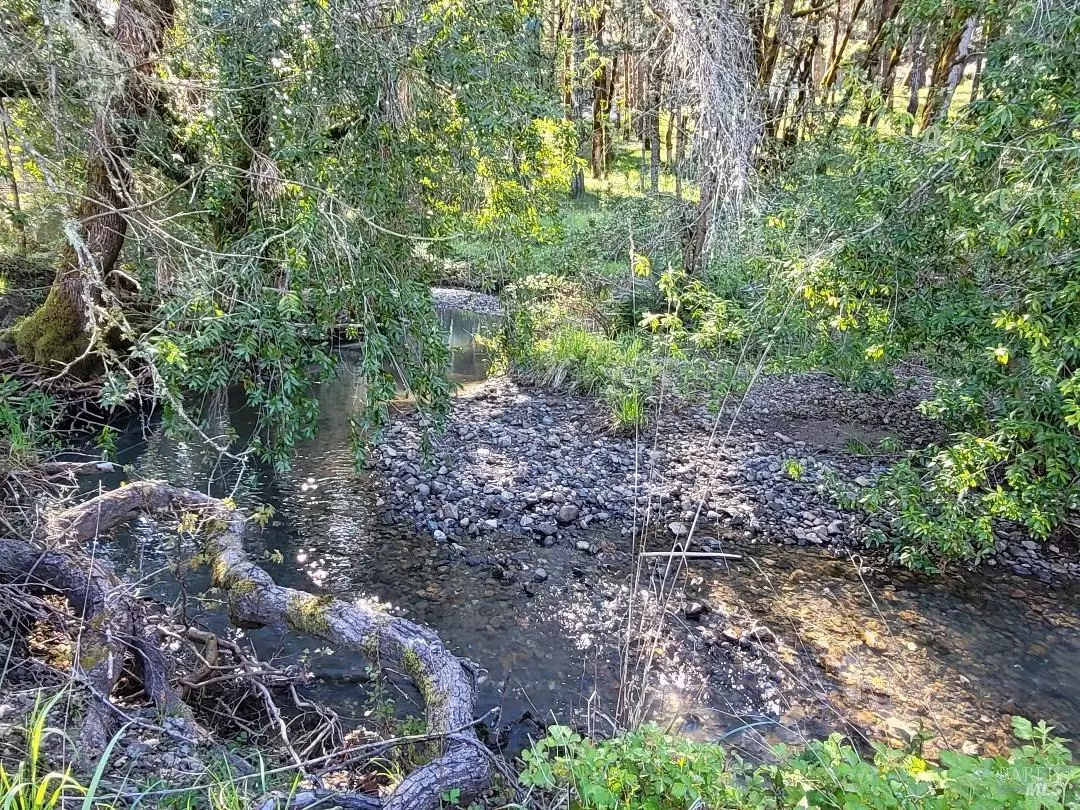 Willits, CA 95490,0 Muir Mill RD