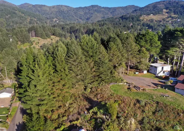 Whitethorn, CA 95589,7 Seaview PT