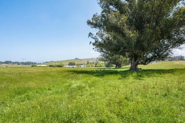 Petaluma, CA 94952,130 Jewett RD