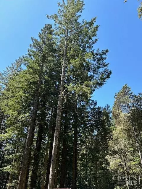 Timber Cove, CA 95450,22051 Rust DR