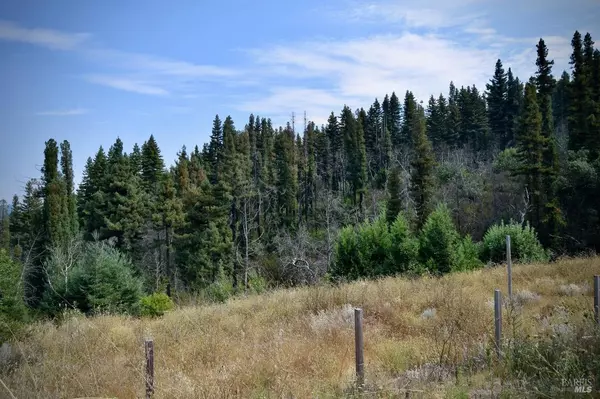 Calistoga, CA 94515,3950 Mountain Home Ranch RD