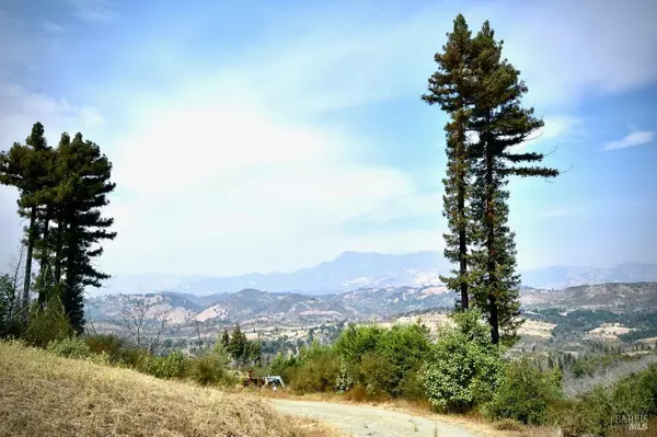 Calistoga, CA 94515,3950 Mountain Home Ranch RD