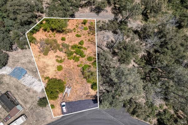 408 Wagon Wheel CT, Pope Valley, CA 94567