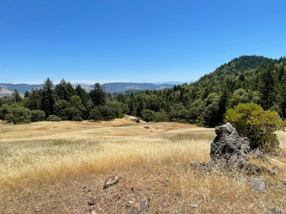 Laytonville, CA 95454,0 0 Stivers RD