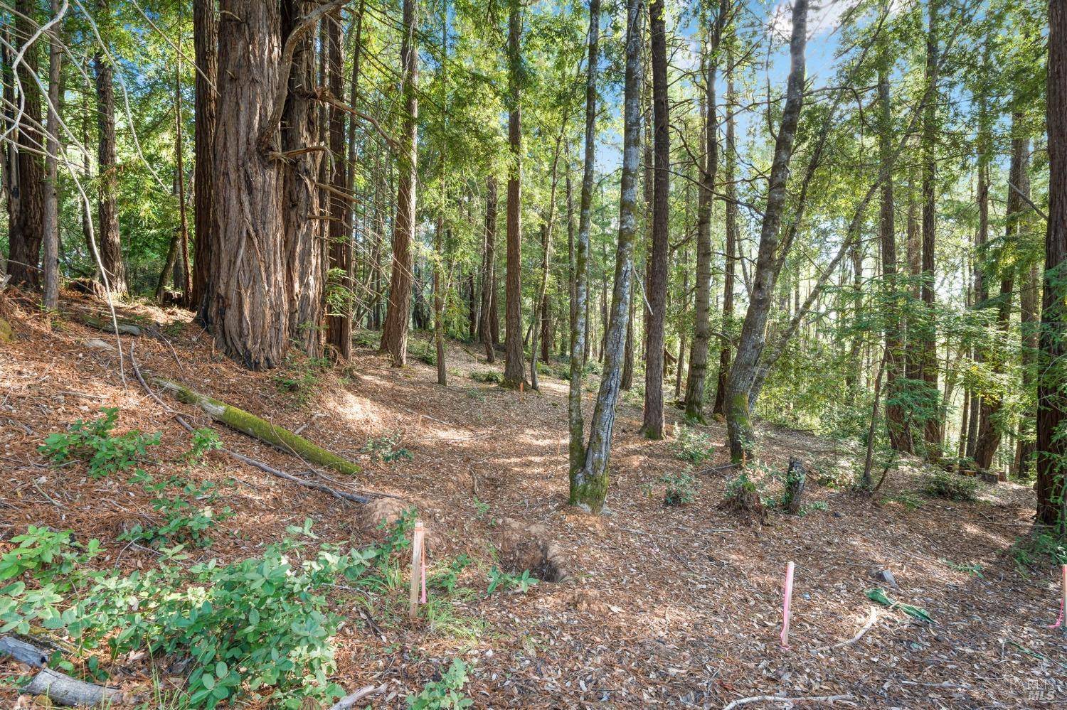 Philo, CA 95466,400 Holmes Ranch RD