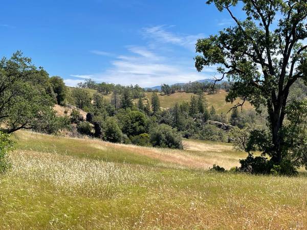 22551 Rifle Range RD, Covelo, CA 95428