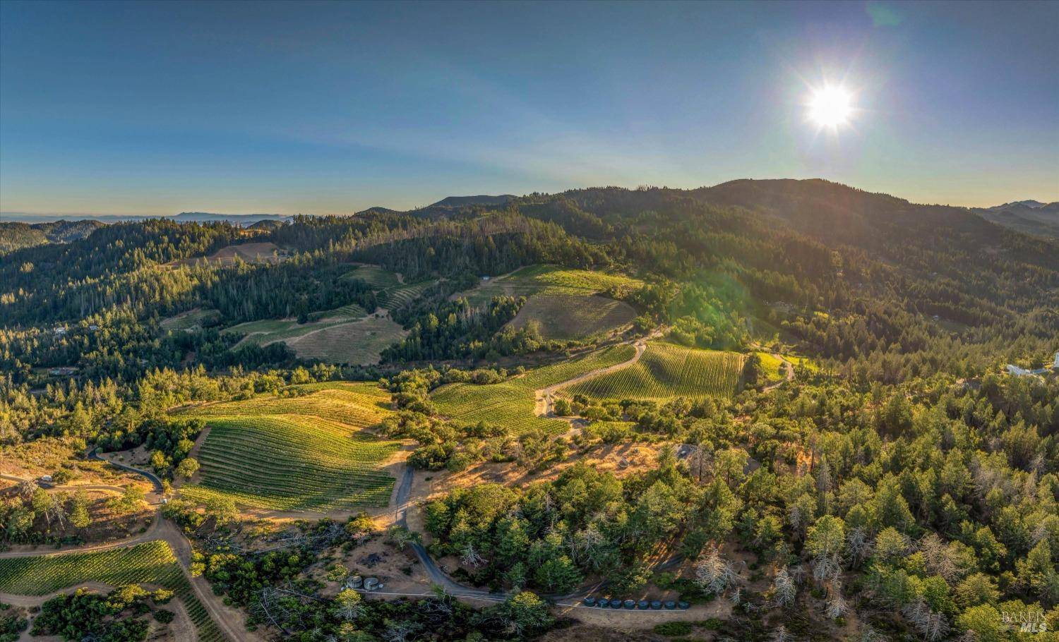 2340 Mount Veeder RD, Napa, CA 94558