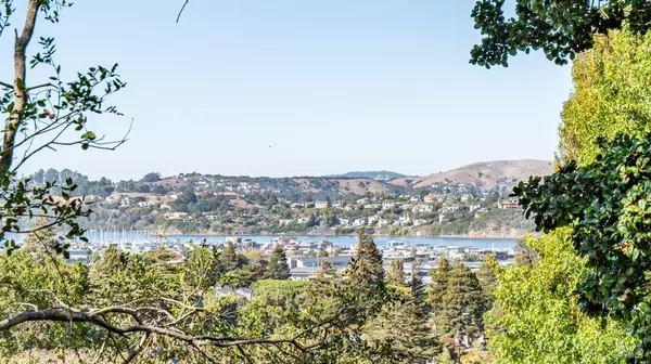 Sausalito, CA 94965,88 Marin AVE