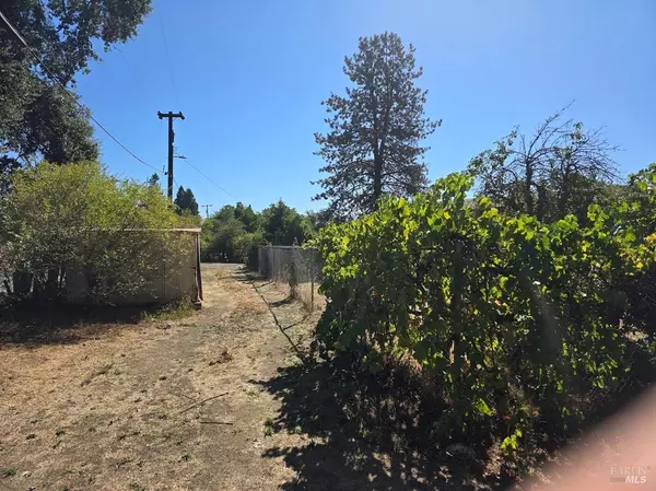 Covelo, CA 95428,23141 Biggar LN