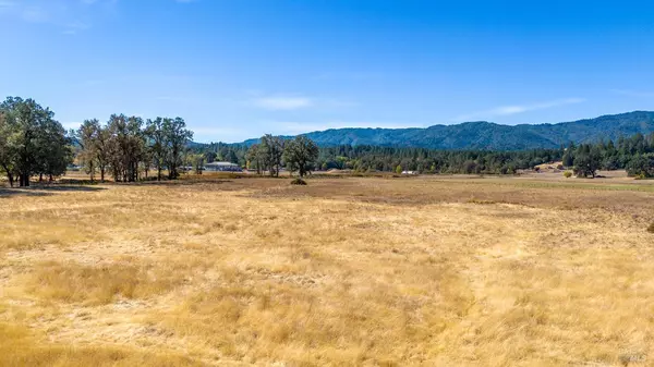 Laytonville, CA 95454,45100 Highway 101