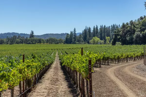 Redwood Valley, CA 95470,300 Laughlin WAY