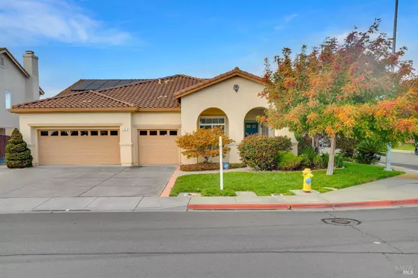 American Canyon, CA 94503,11 Spikerush CIR