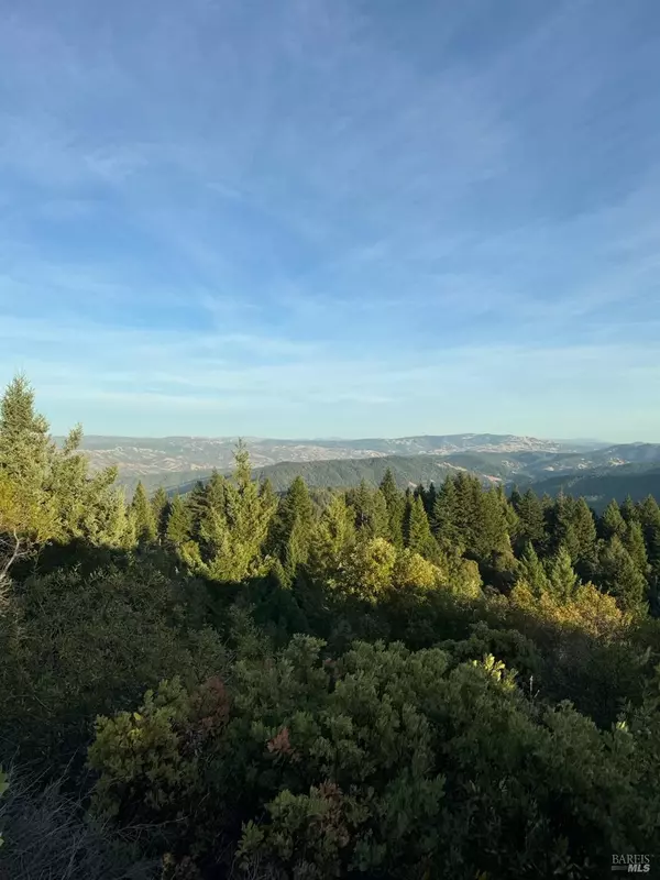 Philo, CA 95466,8555 Signal Ridge RD